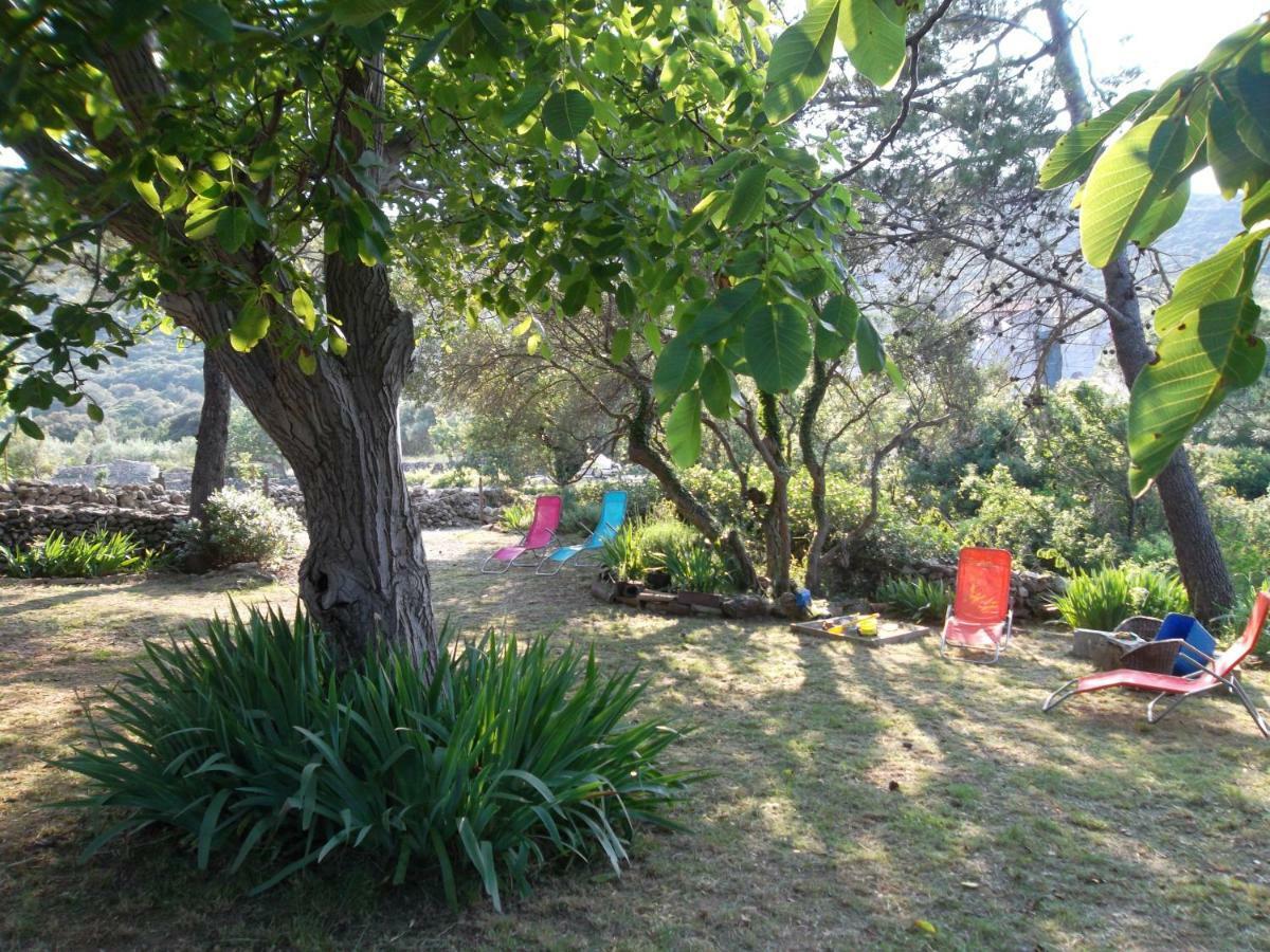 Hodak Apartment 内里吉恩 外观 照片